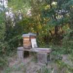 Am Rande unserer Schafweide befindet sich ein Bienenstock. Schafe und Bienen gehören zur traditionellen Landwirtschaft.