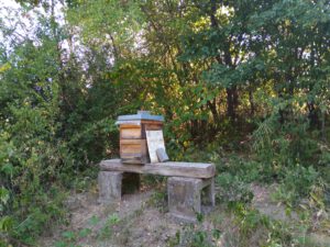 Am Rande unserer Schafweide befindet sich ein Bienenstock. Schafe und Bienen gehören zur traditionellen Landwirtschaft.