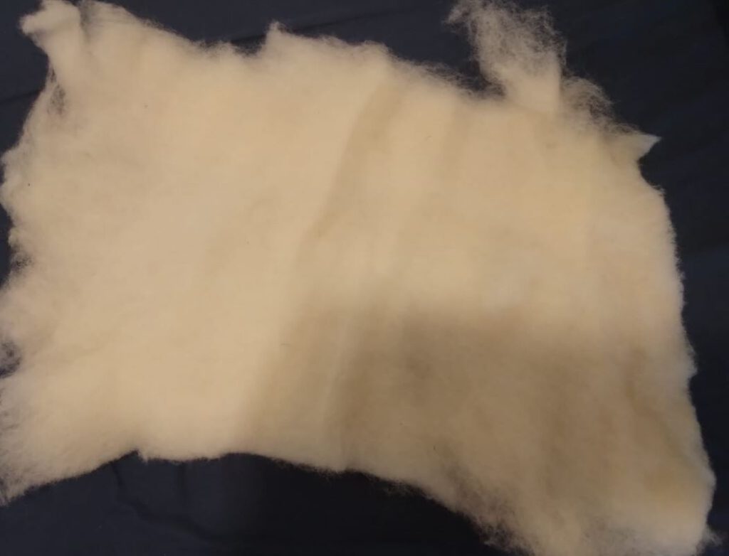 Ein weicher Strang weißer kardierter Wolle, sorgfältig aufbereitet, liegt auf einem blauen Untergrund.