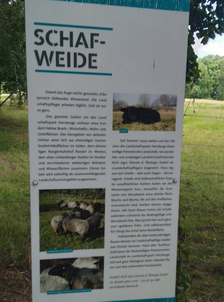 Informationstafel zum Landschaftspark Herzberge mit Karte und Parkbeschreibung, umgeben von Grünflächen