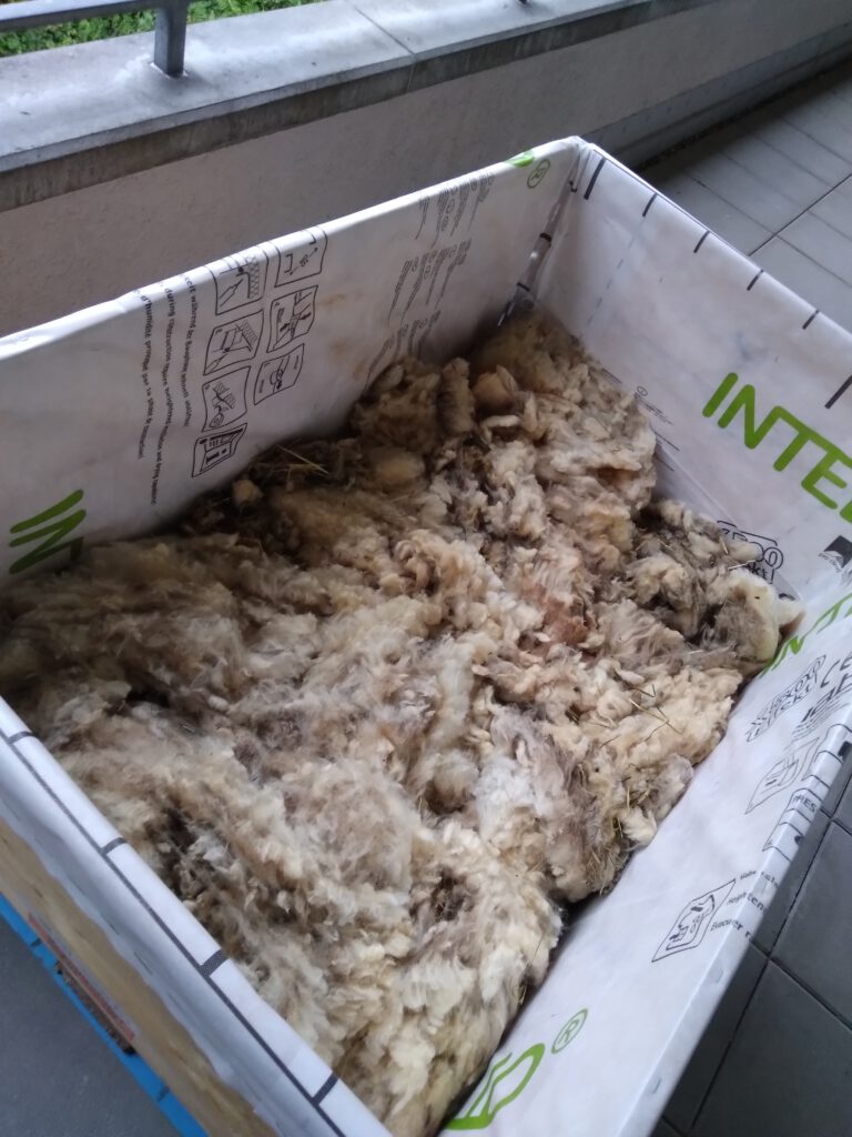 Innenansicht eines Hochbeets mit Schafwolle als natürlichem Langzeitdünger