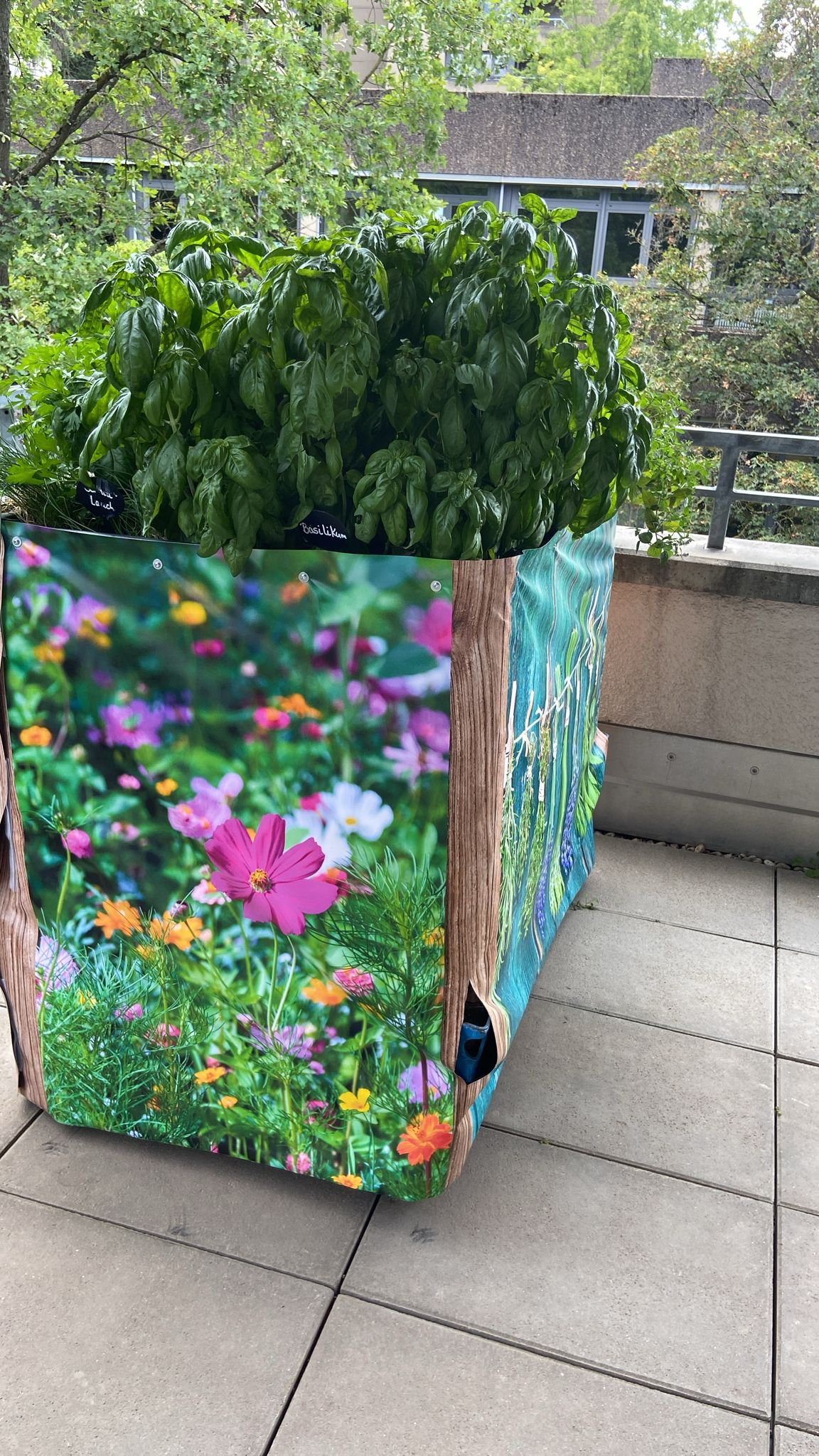 Hochbeet im Marienhospital Stuttgart bepflanzt im Gartentherapieangebot auf der Geriatriestation mit hochwertiger Schafwolle.