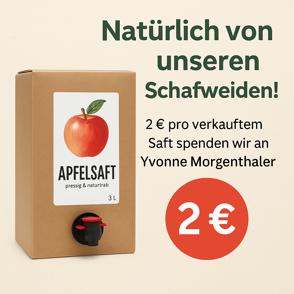 AI generierte Grafik mit BAg-In-Box-Apfelsaft und dem Hinweis einer Spende zugunsten von Morgenthalers Second Hand Café