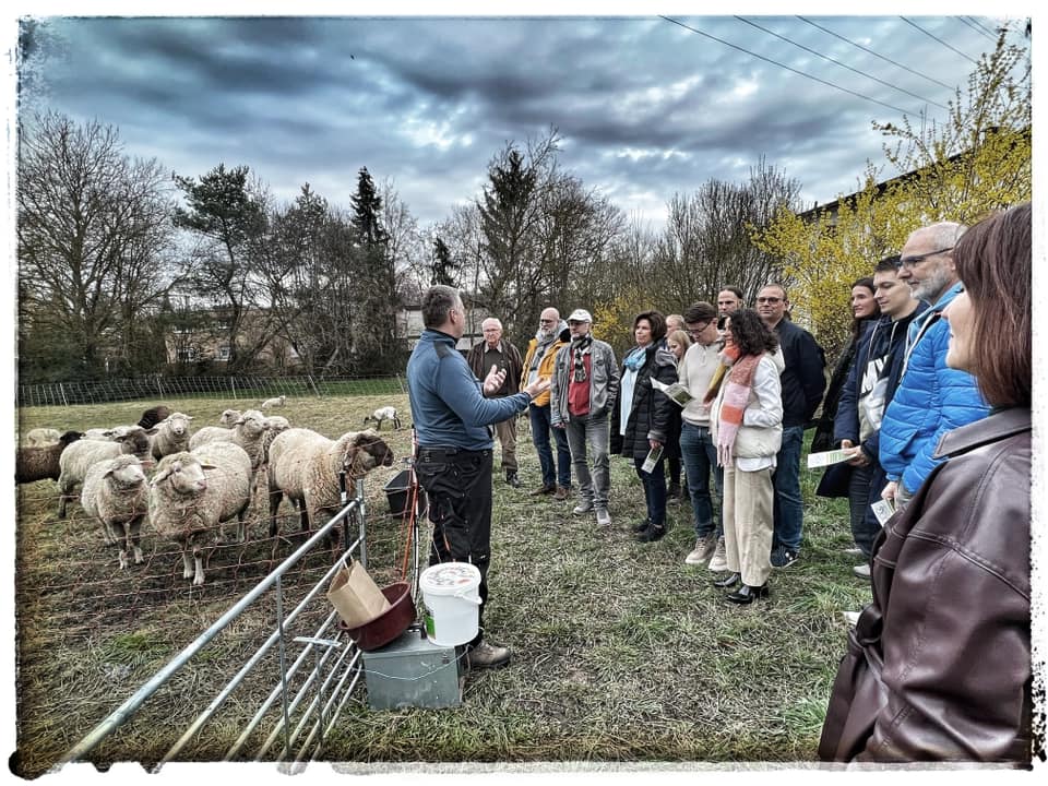 Bernd Spindler im Workshop mit Schafen vor einer großen Menge interessierter Zuhörer