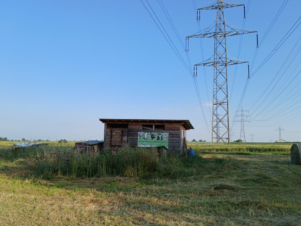 Verlassener Schafstall in Magstadt nach Betriebsaufgabe