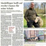 Zeitungsbericht über die Familienschäferei Bernd Spindler