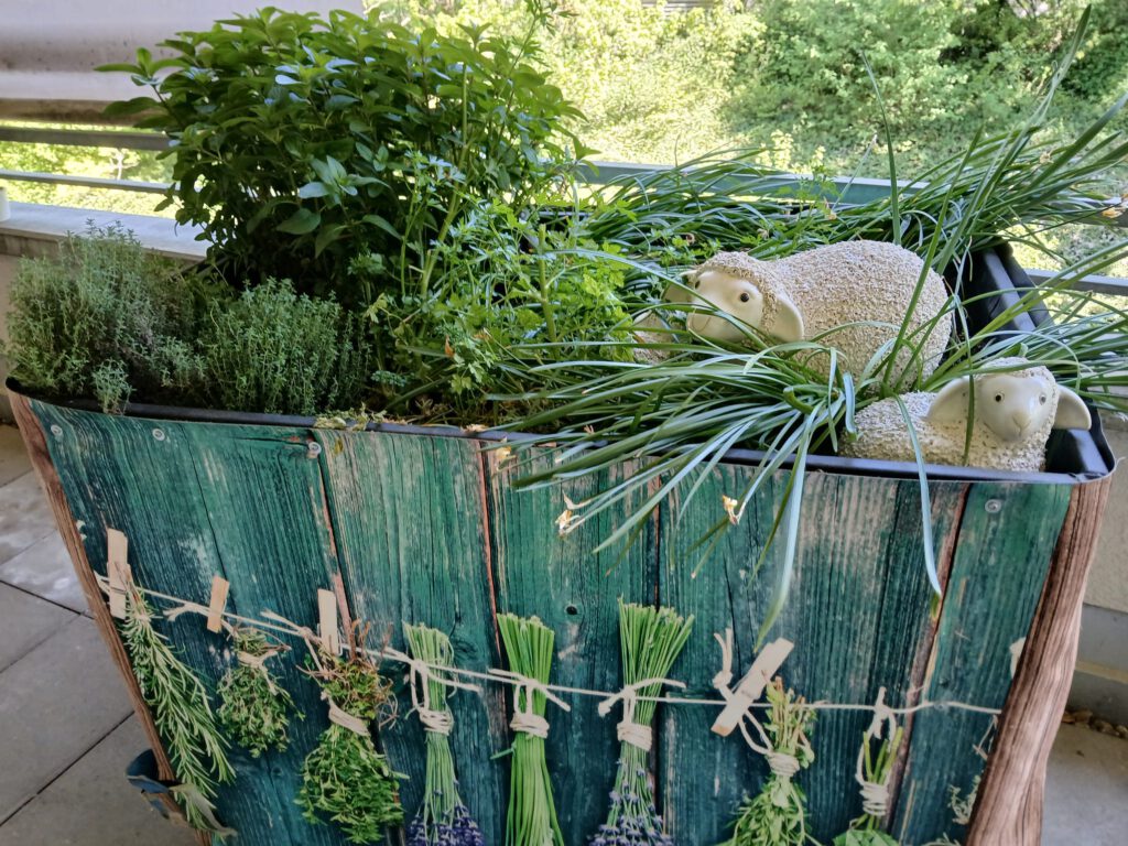 Urban Gardening mit Schafwolle und Ziegelgranulat beim Aktionswochenende Sindelfingen blüht auf