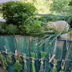 Urban Gardening mit Schafwolle und Ziegelgranulat beim Aktionswochenende Sindelfingen blüht auf