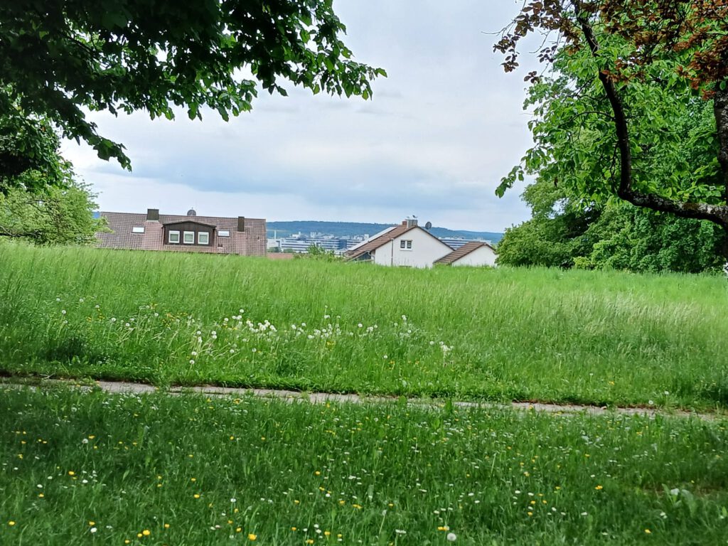 Der Schafweideweg wird dual genutzt. Schafweide und Wasserversorgung. So geht es Hand in Hand.