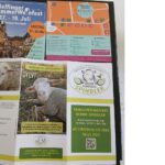 Flyer zum Sindelfinger SommerWeinfest neben Informationen der Familienschäferei Bernd Spindler über Schafpatenschaften, regionale Landwirtschaft und Naturprodukte aus Sindelfingen.
